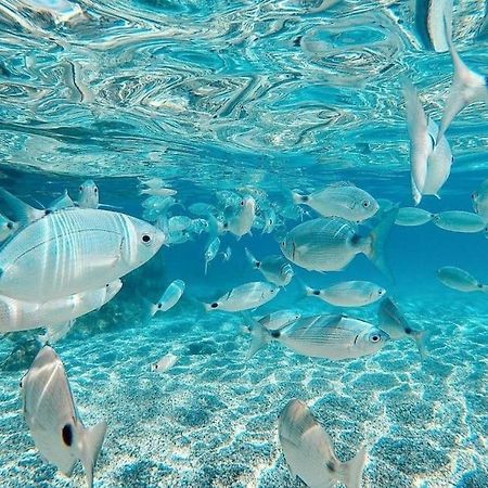 Appartamento El Playaiso De Aguamarga Agua Amarga  Esterno foto